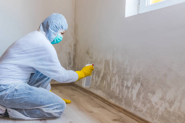 Licensed Mold Remediation service in Bound Brook, NJ - 24 Hour Mold Removal