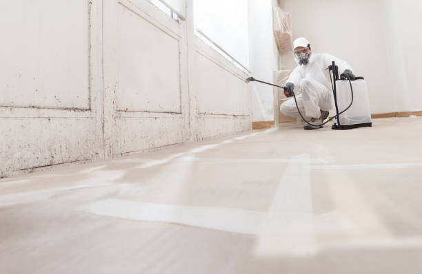 24/7 Emergency Mold Remediation experts in Bound Brook, NJ