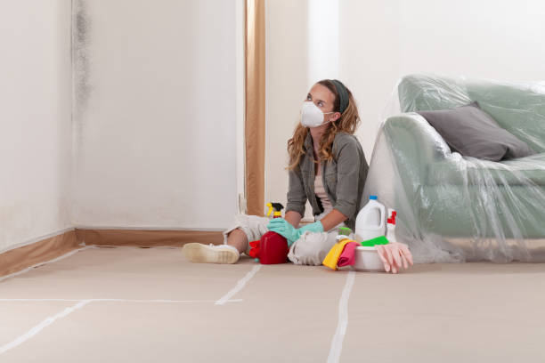 Reliable Mold Remediation contractor in Bound Brook, NJ by 24 Hour Mold Removal